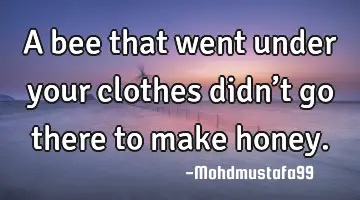 • A bee that went under your clothes didn’t go there to make honey.