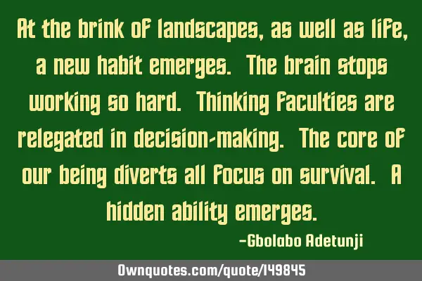 At the brink of landscapes, as well as life, a new habit emerges. The brain stops working so hard. T