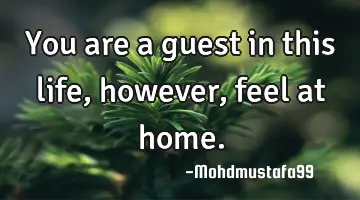 • You are a guest in this life , however, feel at home.