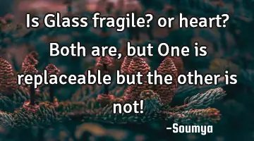 Is Glass fragile? or heart? Both are, but One is replaceable but the other is not!