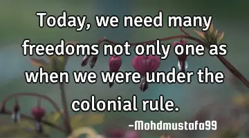 Today, we need many freedoms not only one as when we were under the colonial rule.