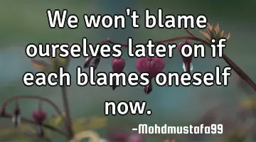 We won't blame ourselves later on if each blames oneself now.