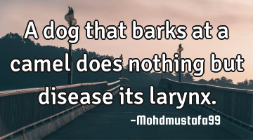 A dog that barks at a camel does nothing but disease its larynx.