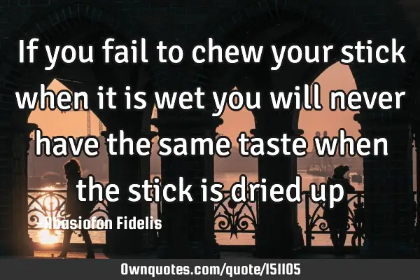 If you fail to chew your stick when it is wet you will never have the same taste when the stick is