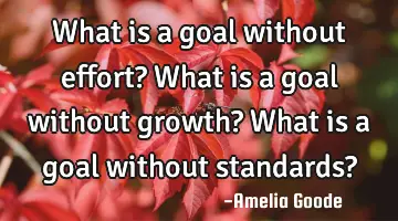 What is a goal without effort? What is a goal without growth? What is a goal without standards?