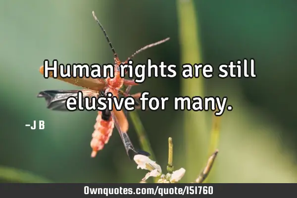 Human rights are still elusive for