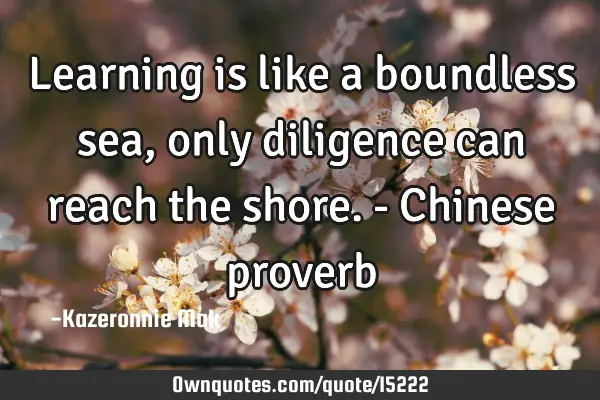 Learning is like a boundless sea, only diligence can reach the shore. - Chinese