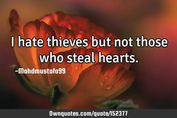 I hate thieves but not those who steal