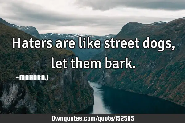 Haters are like street dogs, let them