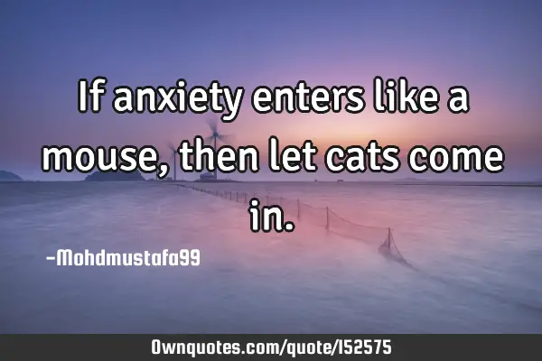 If anxiety enters like a mouse, then let cats come