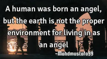 A human was born an angel, but the earth is not the proper environment for living in as an angel