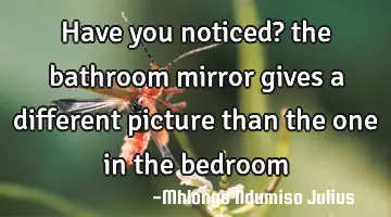 Have you noticed? the bathroom mirror gives a different picture than the one in the