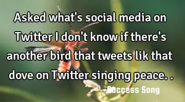 Asked what's social media on Twitter I don't know if there's another bird that tweets lik that dove
