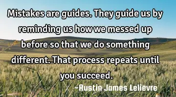 Mistakes are guides. They guide us by reminding us how we messed up before so that we do something