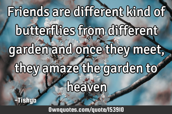 Friends are different kind of butterflies from different garden and once they meet, they amaze the