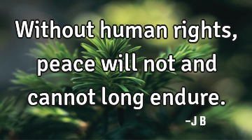 Without human rights, peace will not and cannot long endure.