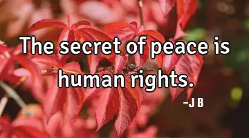 The secret of peace is human rights.