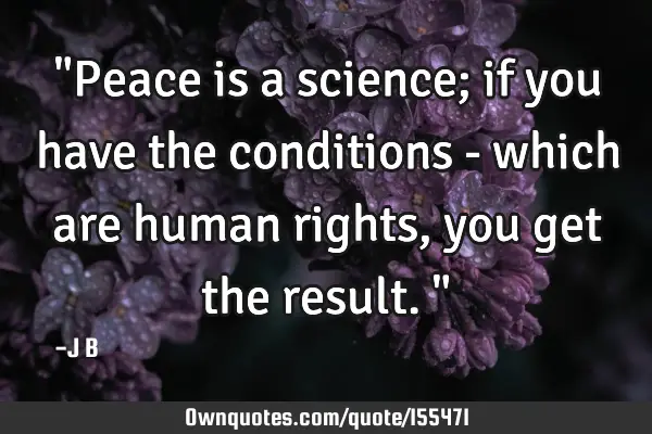"Peace is a science; if you have the conditions - which are human rights, you get the result."