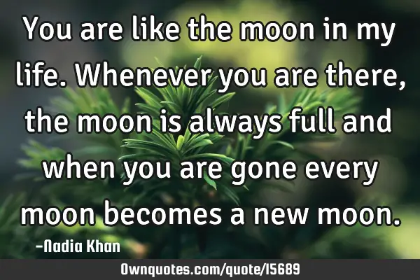 You are like the moon in my life. Whenever you are there, the moon is always full and when you are