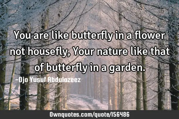 You are like butterfly in a flower not housefly,
Your nature like that of butterfly in a