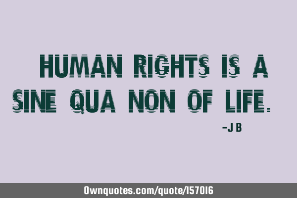 "Human rights is a sine qua non of life."