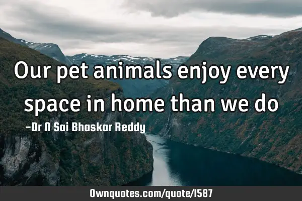 Our pet animals enjoy every space in home than we