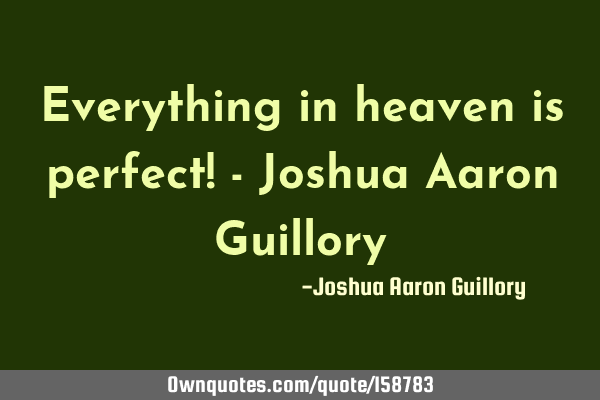 Everything in heaven is perfect! - Joshua Aaron G