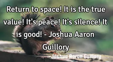Return to space! It is the true value! It's peace! It's silence! It is good! - Joshua Aaron Guillory