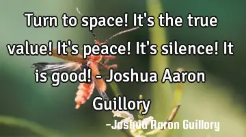 Turn to space! It's the true value! It's peace! It's silence! It is good! - Joshua Aaron Guillory