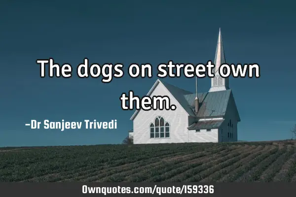 The dogs on street own
