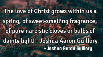 The love of Christ grows within us a spring, of sweet-smelling fragrance, of pure narcistic cloves