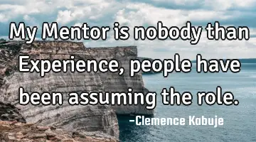 My Mentor is nobody than Experience, people have been assuming the role.