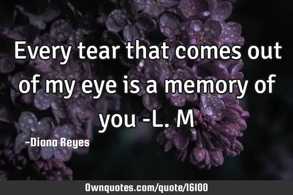 Every tear that comes out of my eye is a memory of you -L.M