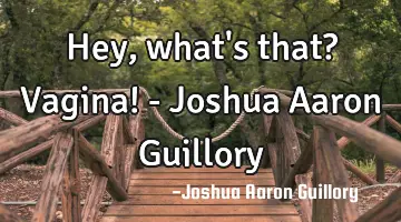 Hey, what's that? Vagina! - Joshua Aaron Guillory