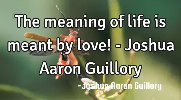 The meaning of life is meant by love! - Joshua Aaron Guillory