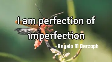 I am perfection of