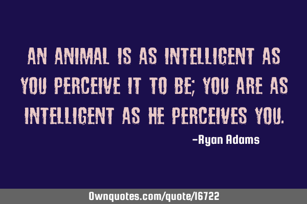 An animal is as intelligent as you perceive it to be; you are as intelligent as he perceives