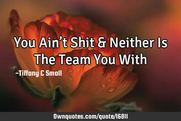 You Ain’t Shit & Neither Is The Team You W
