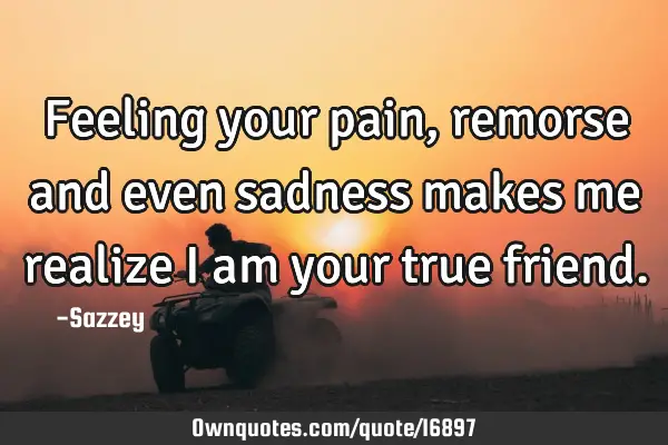 Feeling your pain, remorse and even sadness makes me realize I am your true