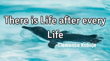 There is Life after every Life
