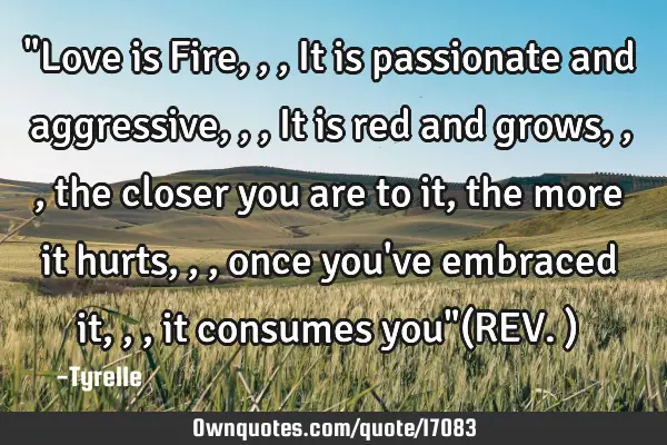 "Love is Fire,,,It is passionate and aggressive,,,It is red and grows,,,the closer you are to it,