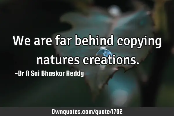 We are far behind copying natures