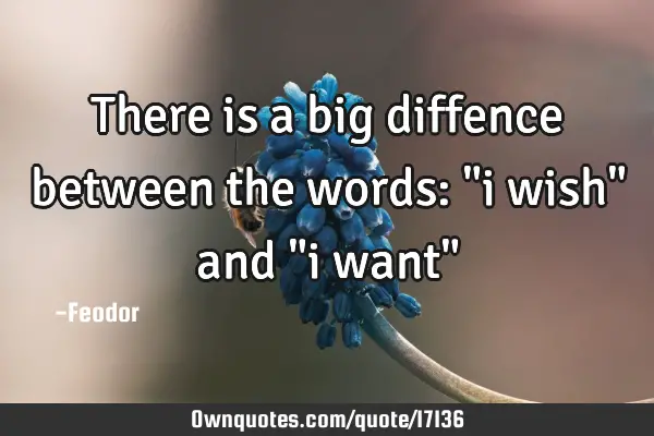 There is a big diffence between the words: "i wish" and "i want"