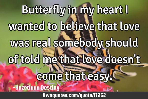 Butterfly in my heart i wanted to believe that love was real somebody should of told me that love