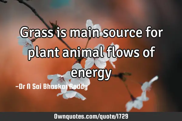 Grass is main source for plant animal flows of