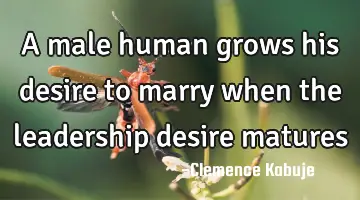 A male human grows his desire to marry when the leadership desire matures