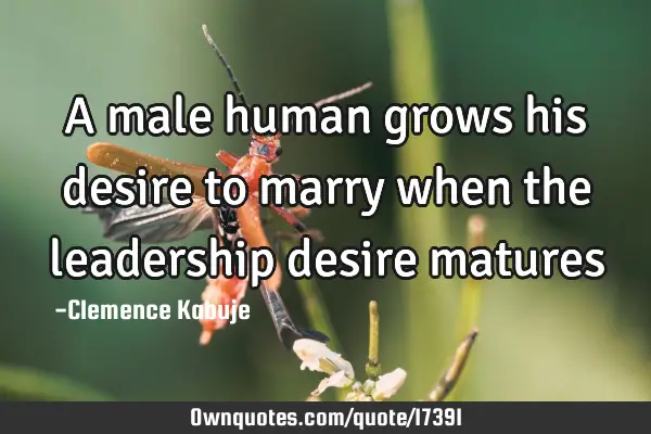 A male human grows his desire to marry when the leadership desire