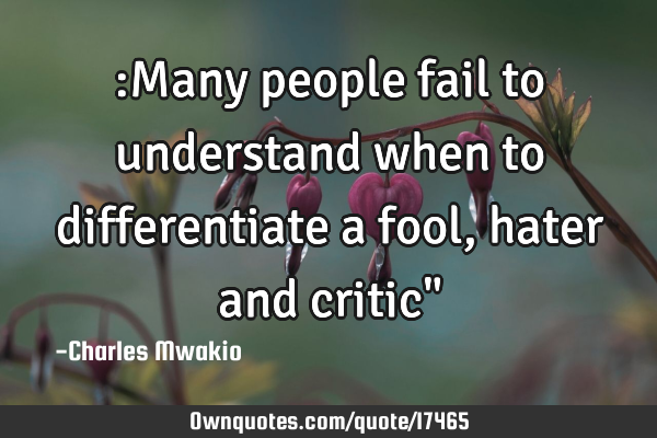 :Many people fail to understand when to differentiate a fool, hater and critic"