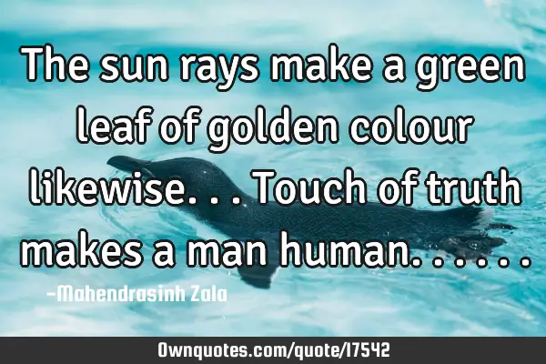 The sun rays make a green leaf of golden colour likewise...touch of truth makes a man