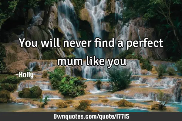 You will never find a perfect mum like